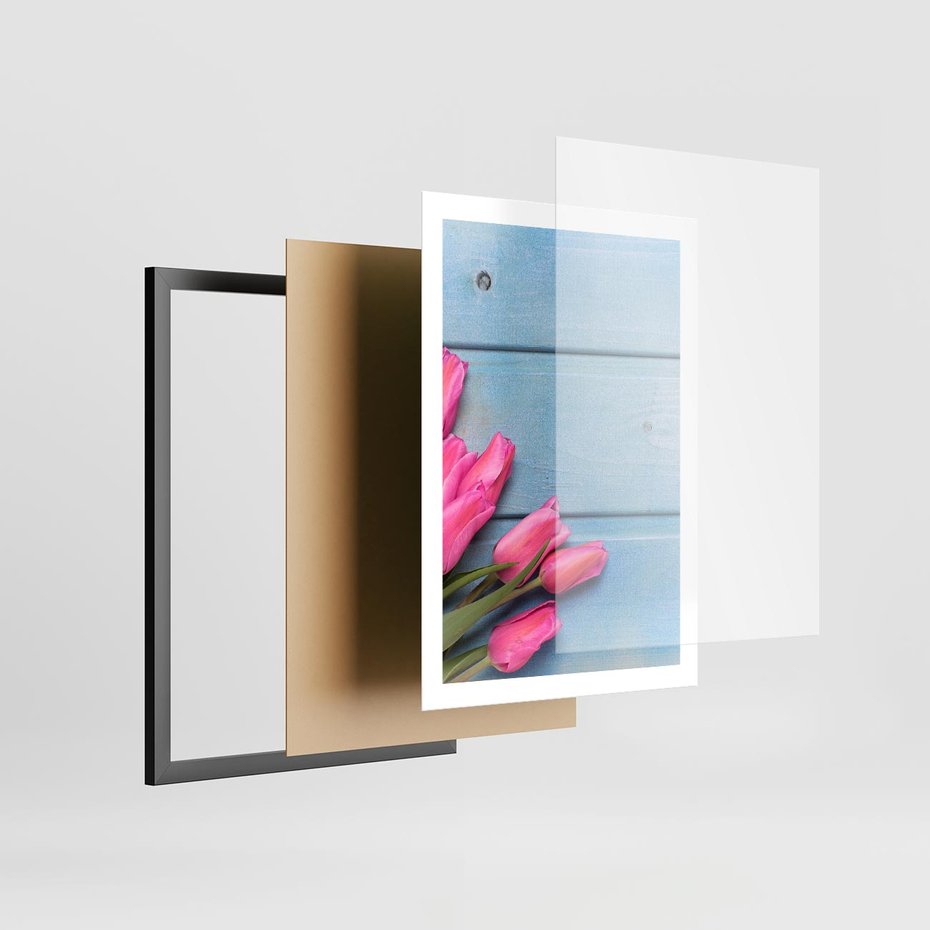 Plakat w ramie 50x70 - Piękno w pełnym rozkwicie - kwiaty, tulipany - rama czarna