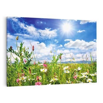 Obraz na płótnie 70x50 - Niebiańska łąka pełna kwiatów - łąka, niebo