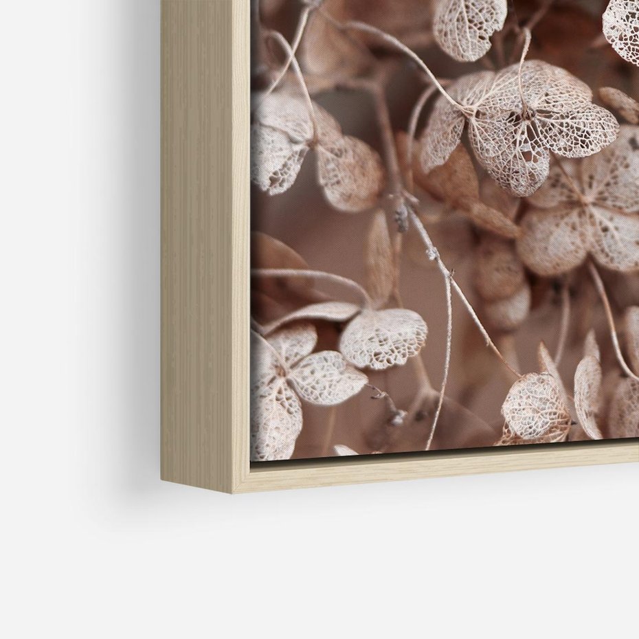 Obraz w ramie 50x50 - Przemijająca Piękność - fotografia, zbliżenie - rama drewno