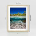 Plakat w ramie 40x50 - Tropikalne Morze i Kolorowa Rafa - tropikalne, morze - rama drewno