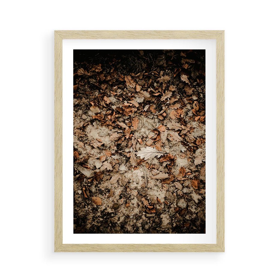 Plakat w ramie 50x70 - Suchość Liści w Brązowych Tonach - suche liście jesień brąz - rama drewno