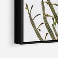 Obraz w ramie 70x50 - Ekskluzywna Roślinność - kaktusy, liście - rama czarna