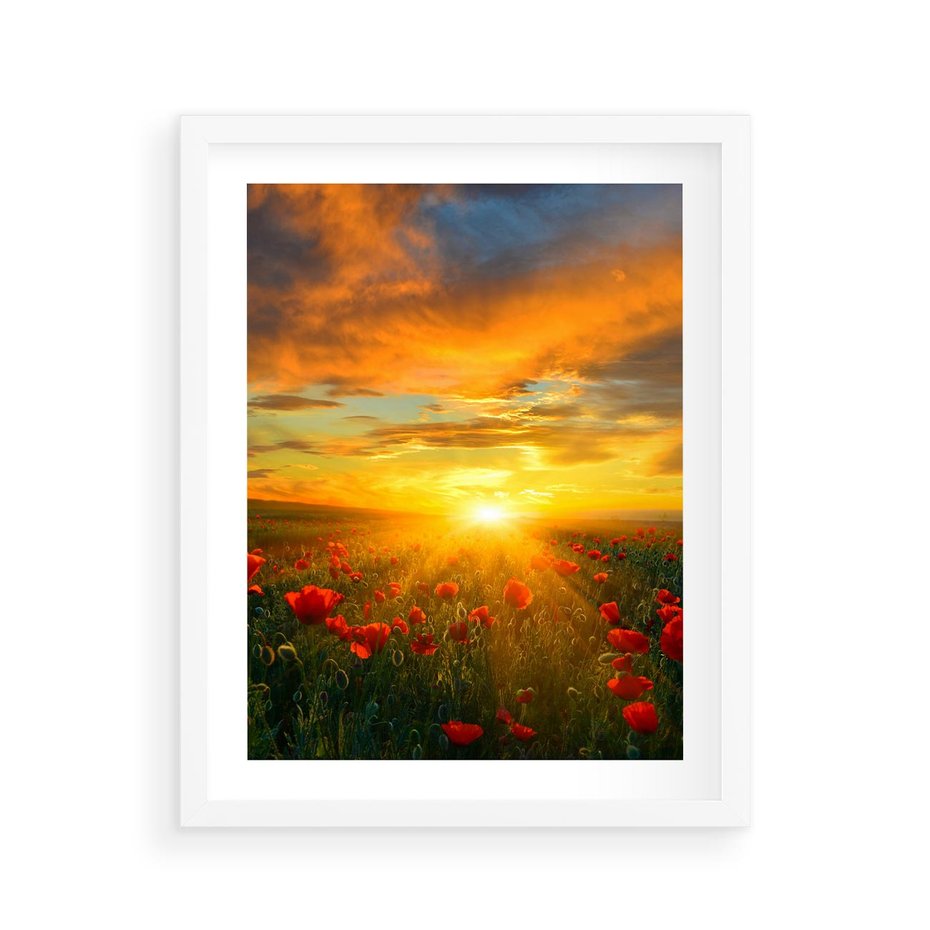 Plakat w ramie 40x50 - Magia zachodu słońca na łące z makami - łąka, zachód słońca - rama biała
