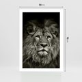 Plakat bez ramy 50x70 - Moc lewego spojrzenia - lew, czarno