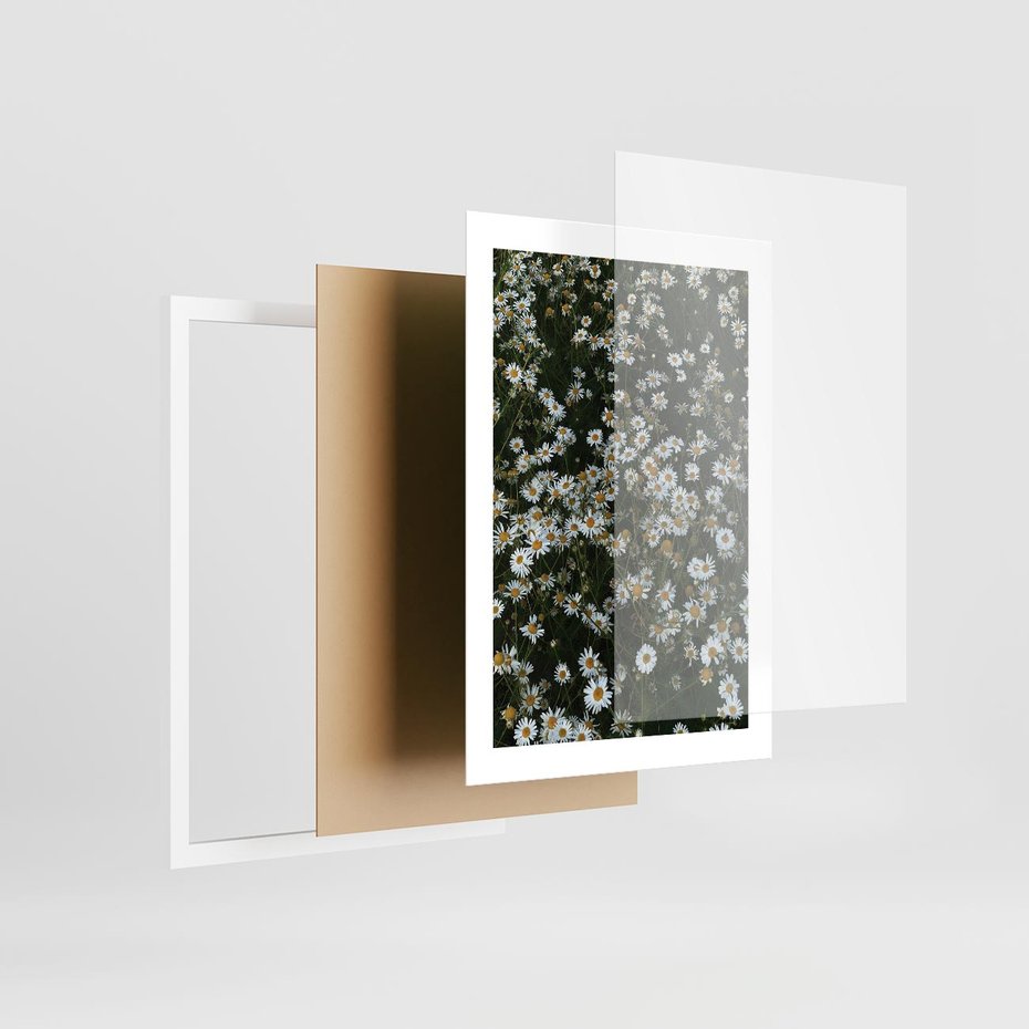 Plakat w ramie 30x40 - Stokrotkowa Idylla na Łące - łąka, stokrotki - rama biała