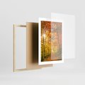 Plakat w ramie 30x40 - Złote barwy jesiennego lasu - las, jesień - rama drewno