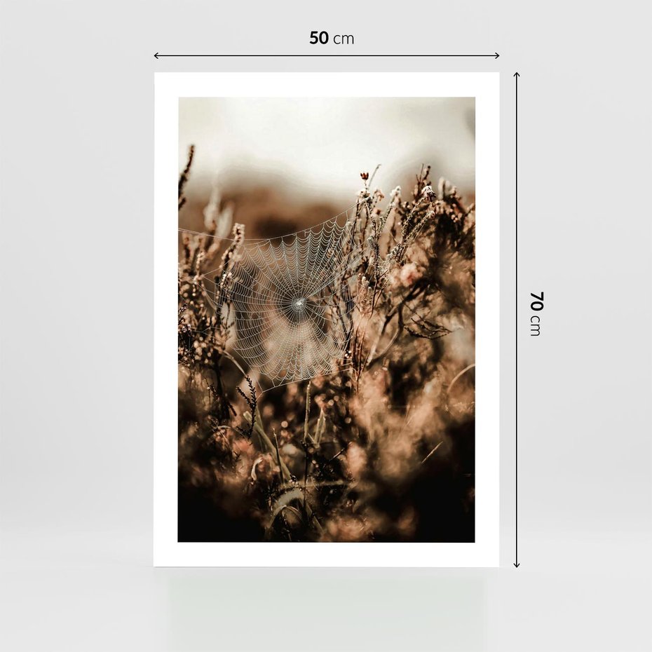 Plakat bez ramy 50x70 - Jesienny Mikrokosmos - suchetrawy, jesienny klimat