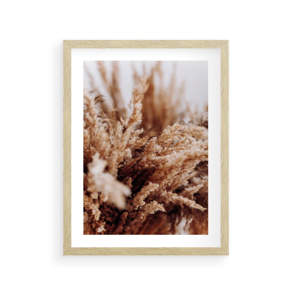 Plakat w ramie 30x40 - Sztuka Suszonych Traw - trawa pampas, suszone trawy - rama drewno