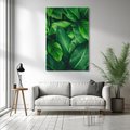 Obraz na płótnie 70x100 - Palma Liście Kwiat - palma, liście