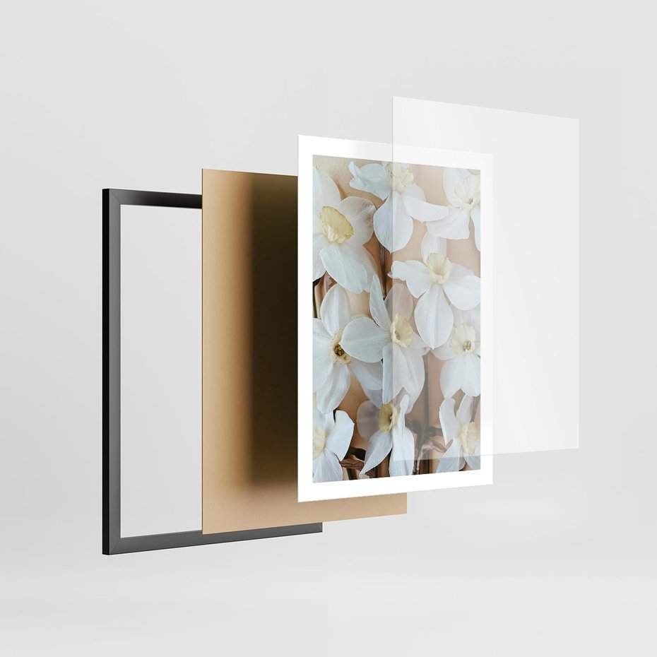 Plakat w ramie 50x70 - Białe Narcyzy - narcyzy, kwiaty - rama czarna