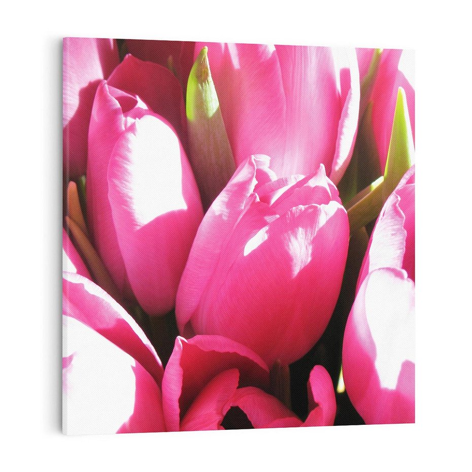 Obraz na płótnie 50x50 - Tulipany w pejzażu - tulipany, kwiaty