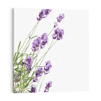 Obraz na płótnie 60x60 - Delikatny Urok - lawenda, kwiaty