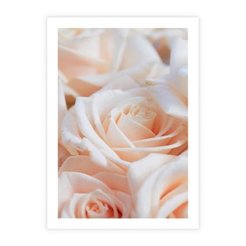 Plakat bez ramy 50x70 - Aromatyczna Piękność - płatki herbacianej róży, kwiaty