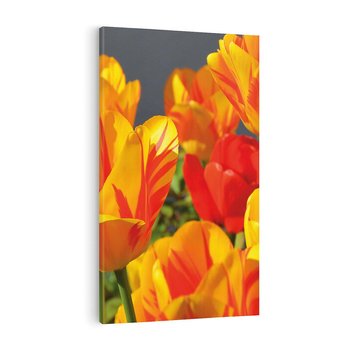 Obraz na płótnie 50x70 - Kwiatowa Harmonia - kwiaty, kwiat