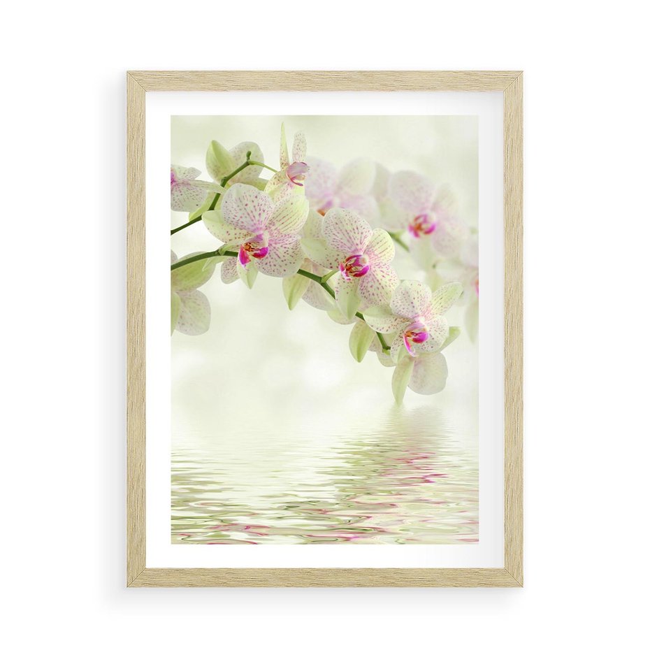Plakat w ramie 50x70 - Orchidea w Spa - orchidea, kwiaty - rama drewno