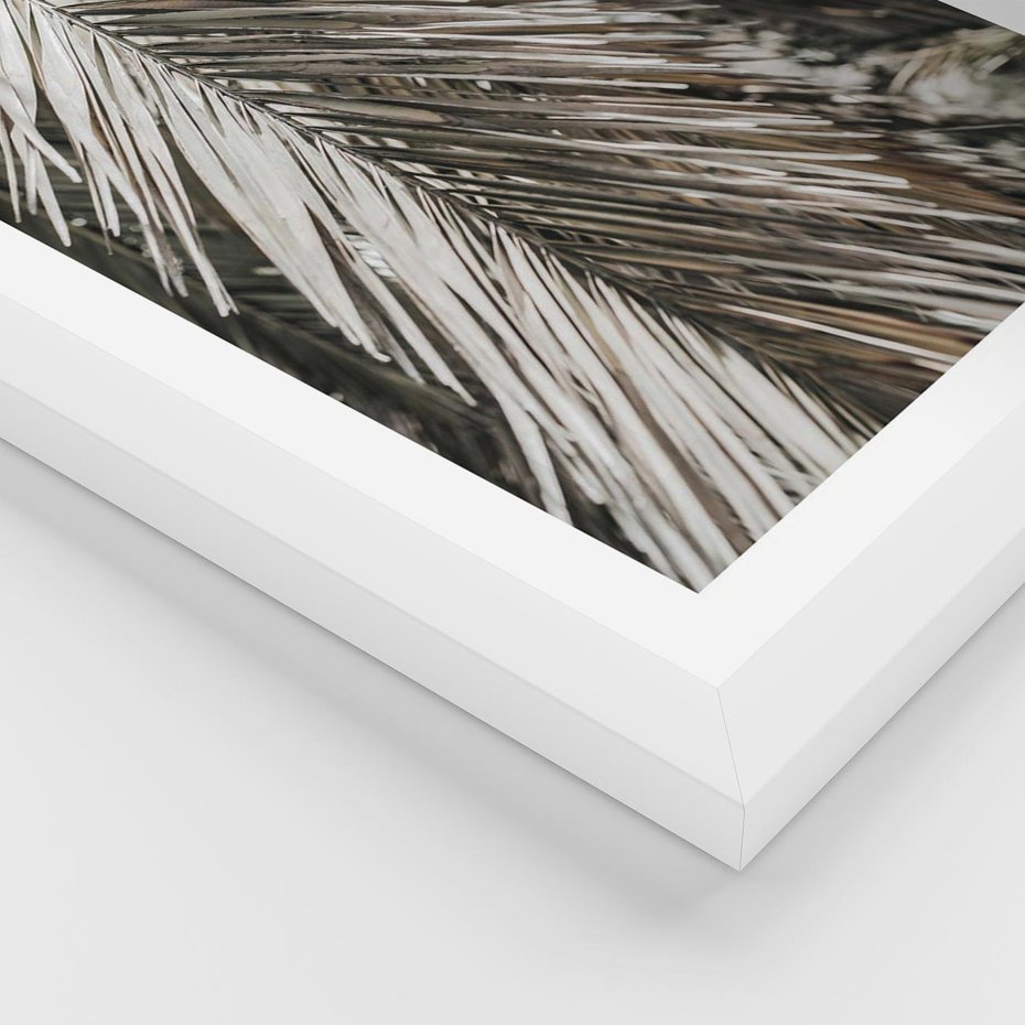 Plakat w ramie 40x50 - Egzotyczne Gałęzie - suche gałęzie, liście palmy - rama biała