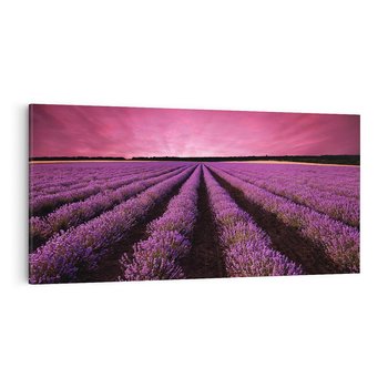 Obraz na płótnie 120x60 - Pola lawendy w pełnym rozkwicie - Lawenda, krajobraz