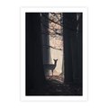 Plakat bez ramy 30x40 - Sarnie Skoki - zdjęcie, klimatyczny las