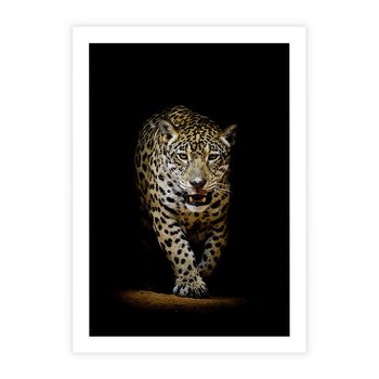 Plakat bez ramy 30x40 - Elegancja lamparta - lampart, pantera