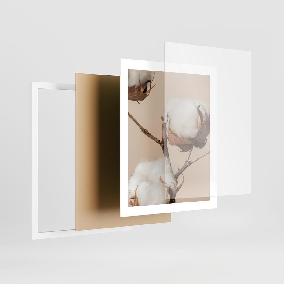 Plakat w ramie 40x50 - Bawełniana melancholia - bawełna, suche - rama biała