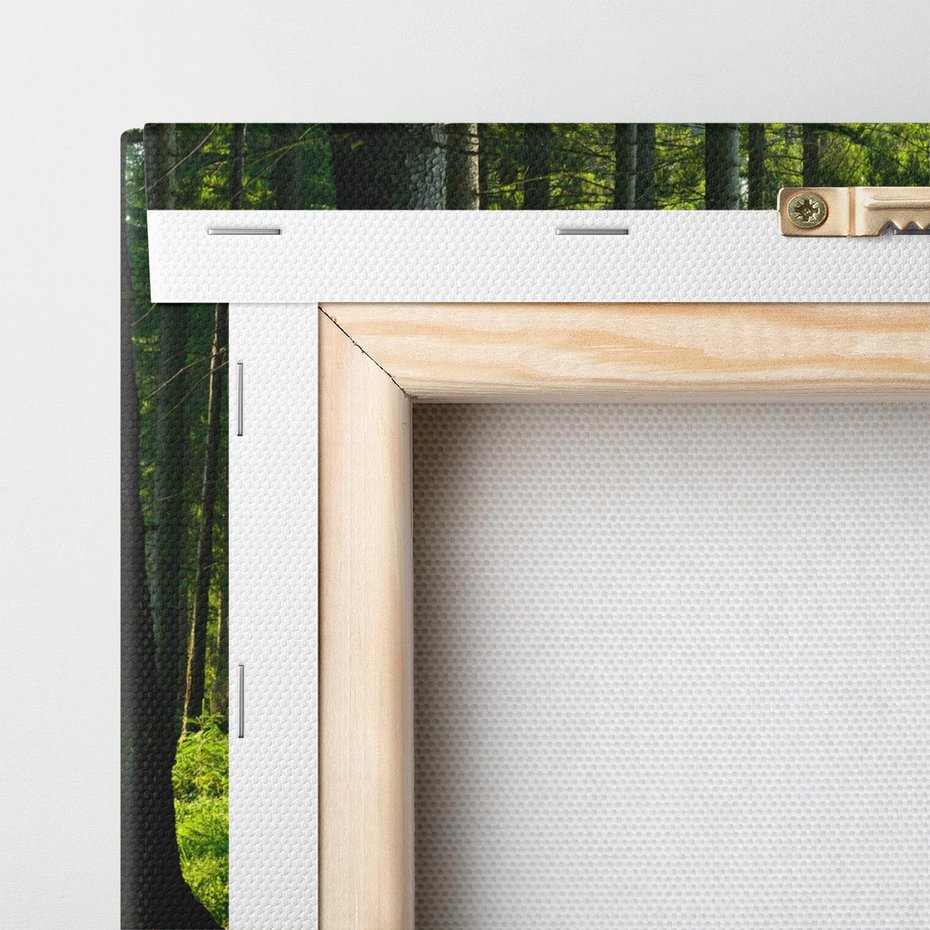 Obraz na płótnie 100x70 - Idylliczny las - las, drzewa