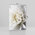 Obraz na płótnie 70x100 - Białe Kwiaty Delikatności - białe, kwiaty
