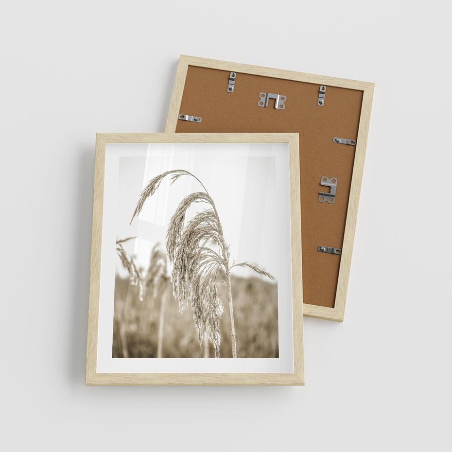 Plakat w ramie 40x50 - Ujęcie Suchych Traw - suche trawy, zbliżenie - rama drewno