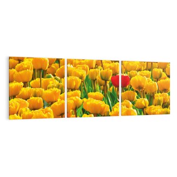 Obraz na płótnie 90x30 - kwiatowa elegancja - tulipany, kwiat
