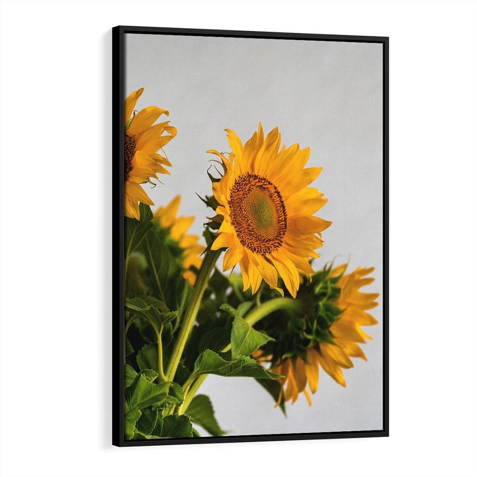 Obraz w ramie 70x100 - Słoneczna Radość - fotografia, żółte słoneczniki - rama czarna