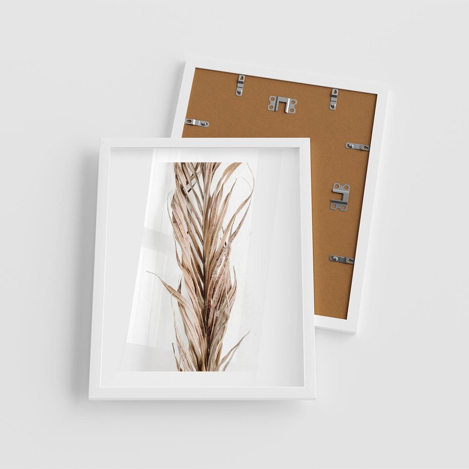 Plakat w ramie 40x50 - Minimalizm Palmowy: Sucha Uroda - sucha palma, minimalizm - rama biała