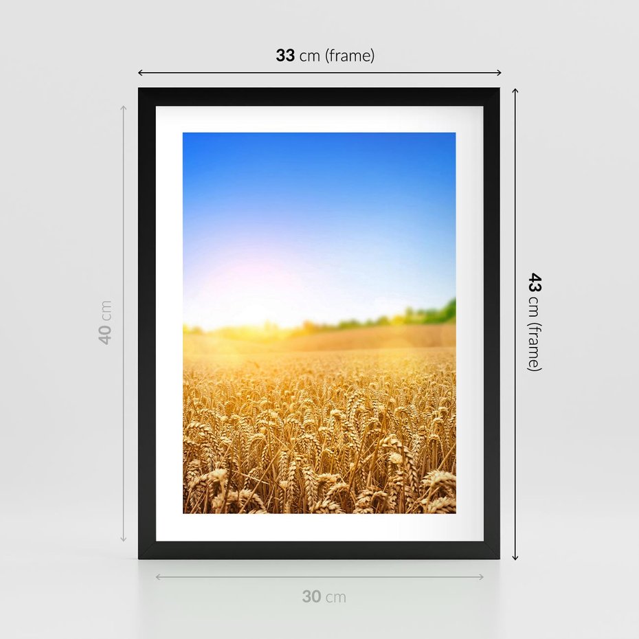 Plakat w ramie 30x40 - Żyzne Pola - pole, pszenicy - rama czarna