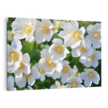 Obraz na płótnie 70x50 - Kwiatowy Raj - kwiat, kwiaty