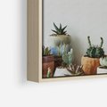 Obraz w ramie 80x80 - Naturalna Harmonia - kaktusy, liście - rama drewno