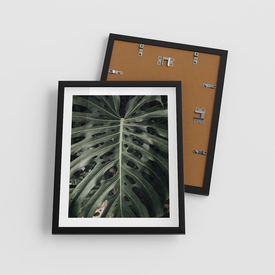 Plakat w ramie 40x50 - Majestatyczny Liść Monstery - liść monstery, majestatyczny liść - rama czarna