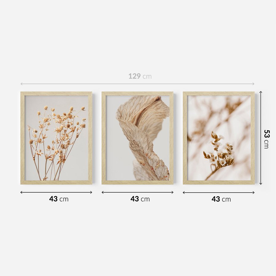 Zestaw obrazy w ramie 40x50 galeria - Suche, kwiaty, pampas, trawy, boho - rama drewno