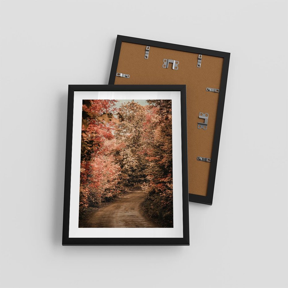 Plakat w ramie 30x40 - Obraz przedstawia jesienne drzewa i czerwone liście na ścieżce w lesie. Ta sceneria doskonale oddaje urok i kolorystykę jesieni w lesie. - las, jesień - rama czarna