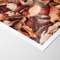 Plakat bez ramy 21x30 - Magia Jesiennej Ziemi - liście, jesień
