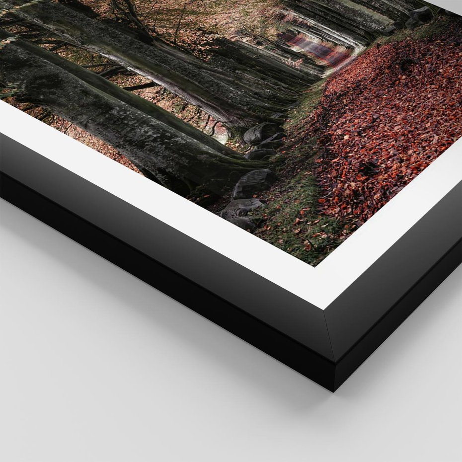 Plakat w ramie 30x40 - Spacer po Leśnej Drodze - ścieżka w lesie, jesień suche liście - rama czarna