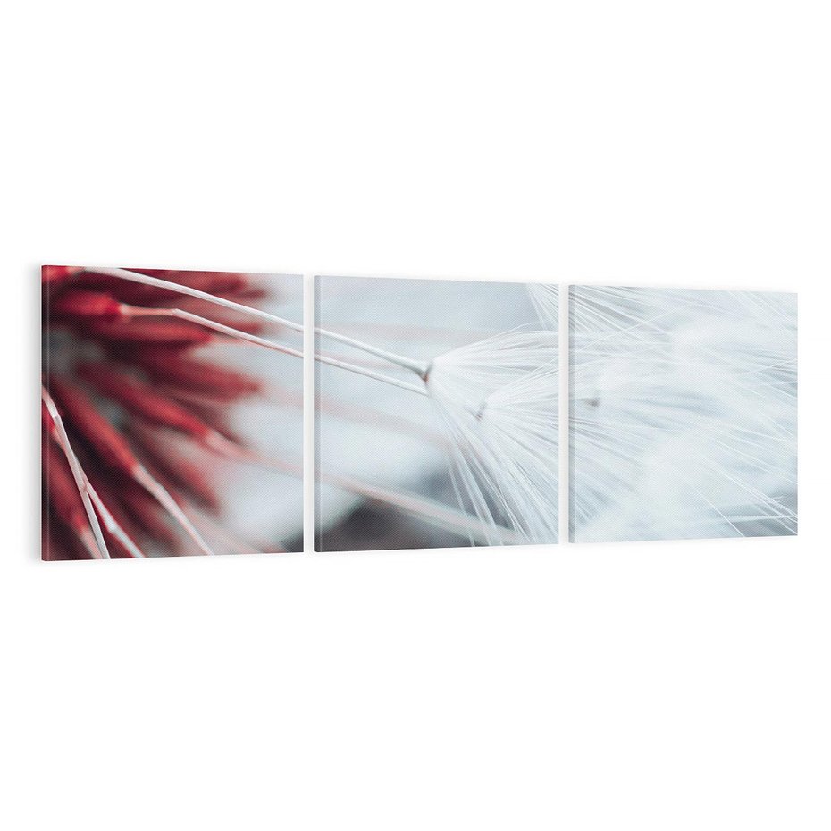 Obraz na płótnie 150x50 - Makro świat dmuchawca - dmuchawiec, makro