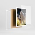 Plakat w ramie 50x70 - Spotkanie konia na łące - koń, łąka - rama biała