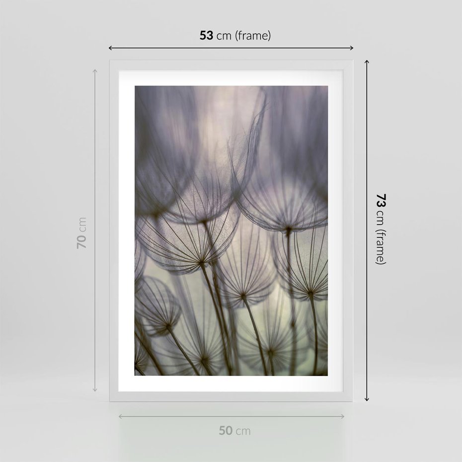 Plakat w ramie 50x70 - Makro dmuchawiec - piękno drobnych detali - dmuchawce, makro - rama biała