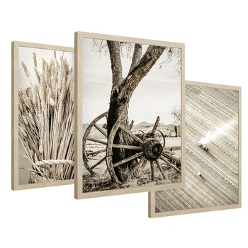 Zestaw obrazy w ramie 30x40 galeria - Sepia, krajobraz, wiejski, pole - rama drewno