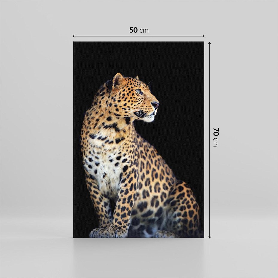 Obraz na płótnie 50x70 - Elegancja Jaguarowej Pantery - jaguar, pantera