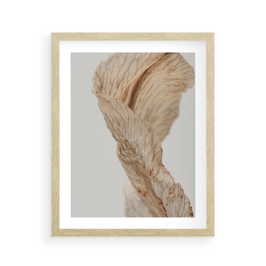 Plakat w ramie 40x50 - Suszone piękno - susz, suche - rama drewno