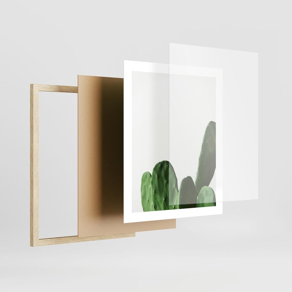 Plakat w ramie 40x50 - Minimalizm Natury - kaktus, zbliżenie - rama drewno