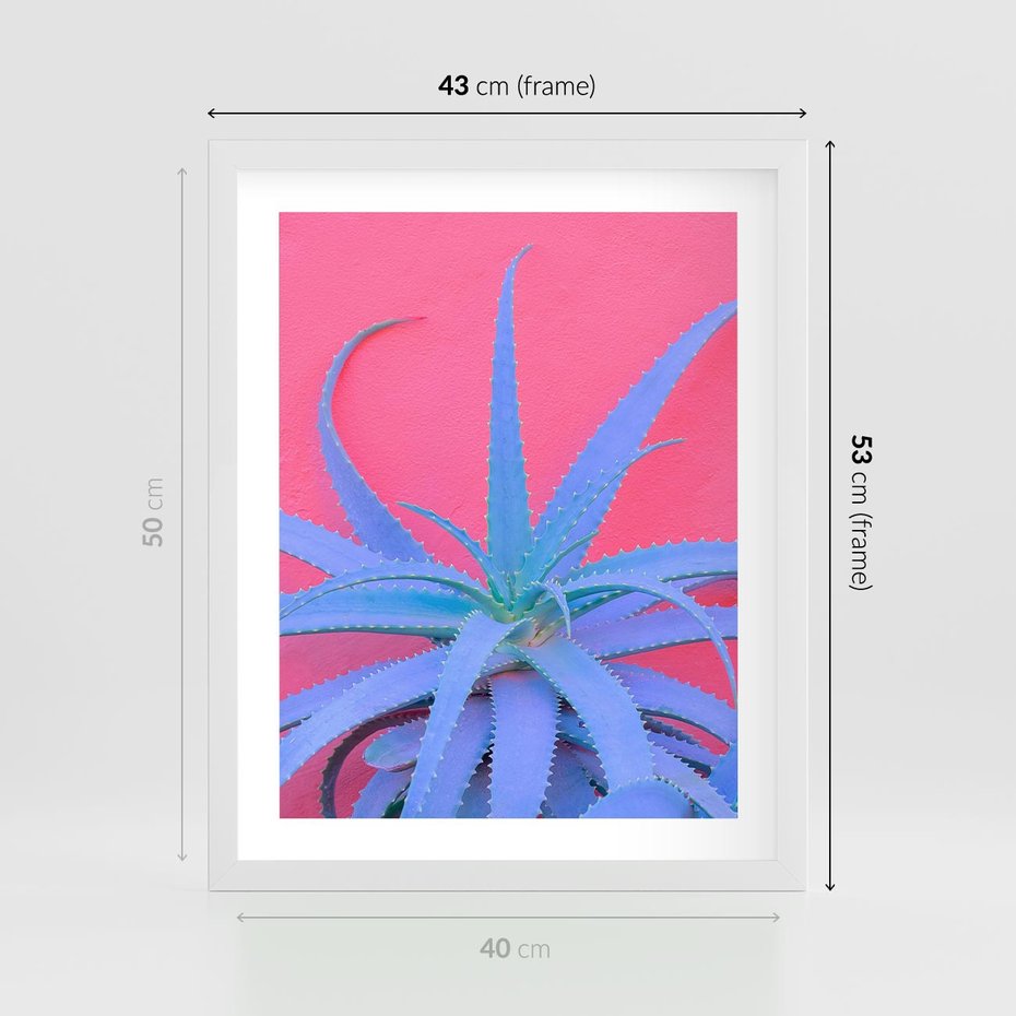 Plakat w ramie 40x50 - Piękno Pustyni - kaktusy, liście - rama biała