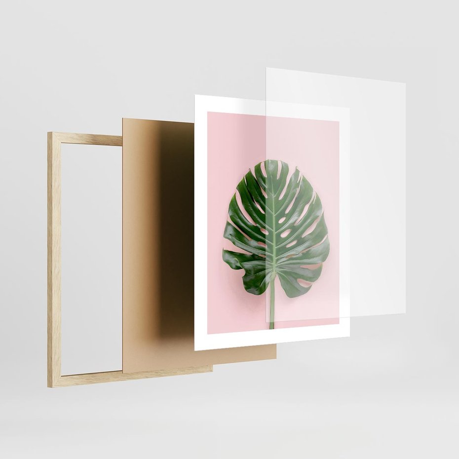 Plakat w ramie 40x50 - Monstera w Różowym Świetle - liść monstery, różowe tło - rama drewno