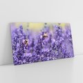 Obraz na płótnie 100x50 - Magia lawendy delikatne kwiaty - lawenda, kwiat