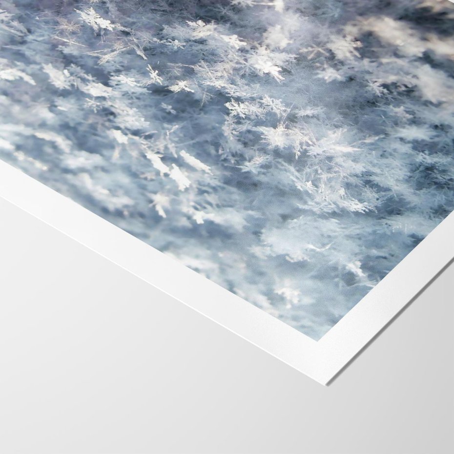 Plakat bez ramy 50x70 - Magia Śnieżnych Kryształków - śnieg, szron