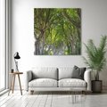Obraz na płótnie 40x40 - Magiczny Las - drzewa, las